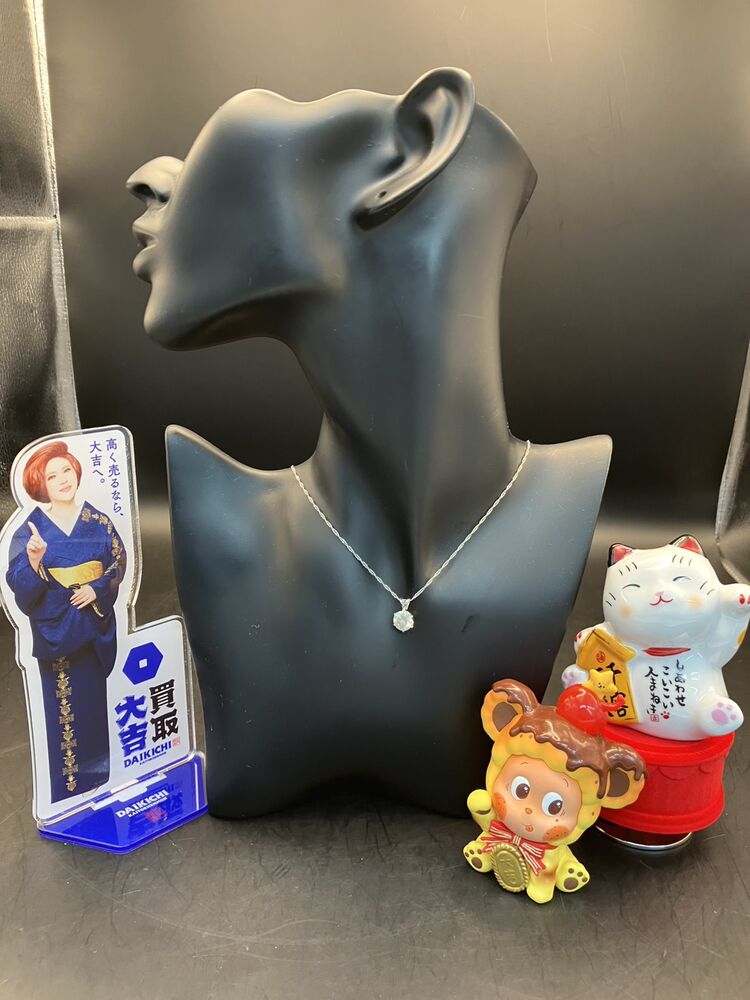 画像5281